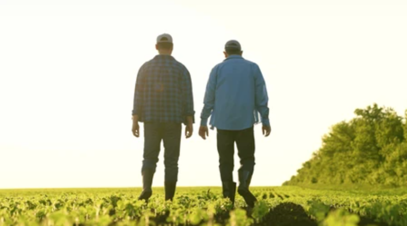 Porteira Aberta Empreender é lançado no Canal Rural