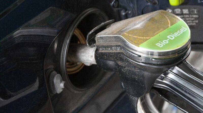 biodiesel soja abiove