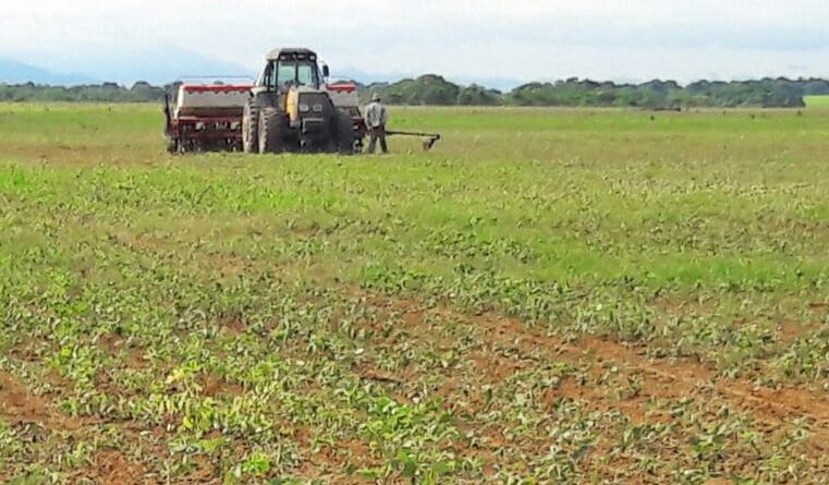 Foto: Tocantins/Canal Rural