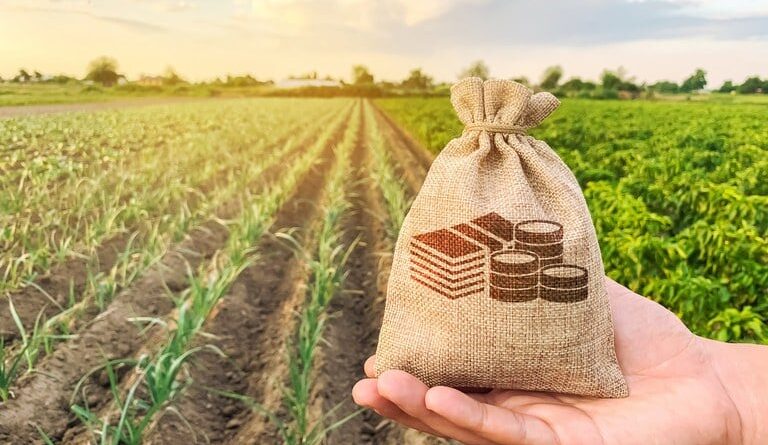 Plano Safra, crédito rural, febraban