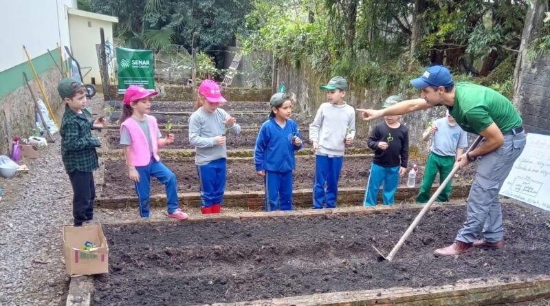 Projeto de horta escolar ensina sustentabilidade e alimentação saudável em SC
