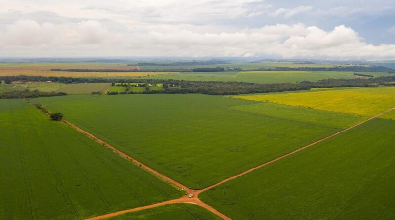 CAR Lavoura com reserva legal em Campo Verde foto Rafael Marques Secom - MT - agropecuária