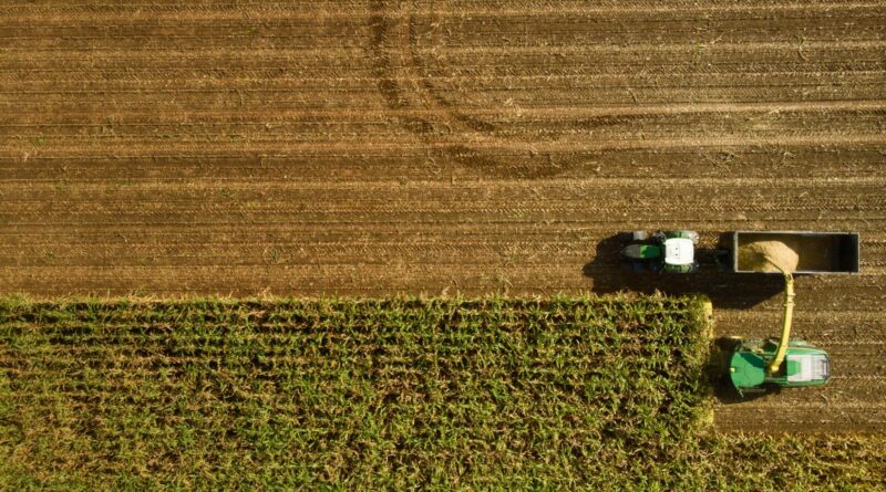 Salário de até R$ 60 mil no agro: veja quais regiões oferecem os melhores ganhos