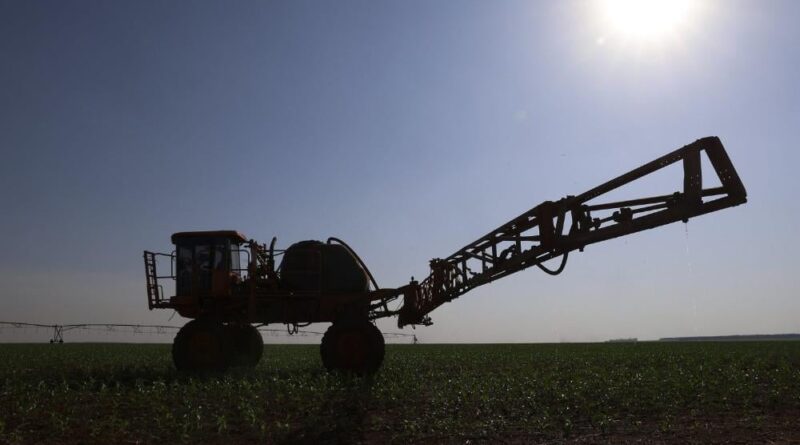 São Paulo lidera exportação agropecuária do Brasil em 2024 e supera Mato Grosso