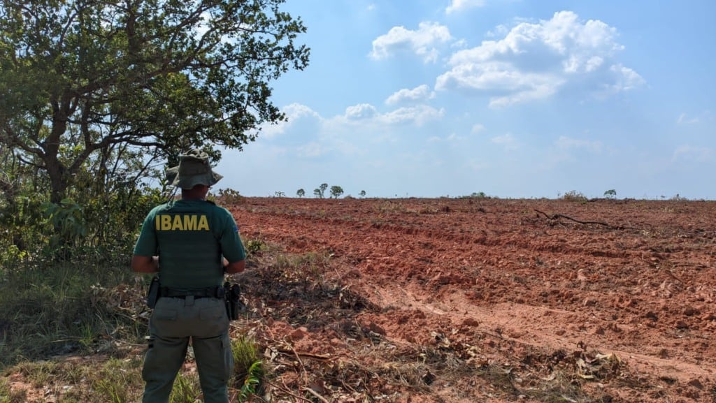 desmatamento, embargo, Ibama