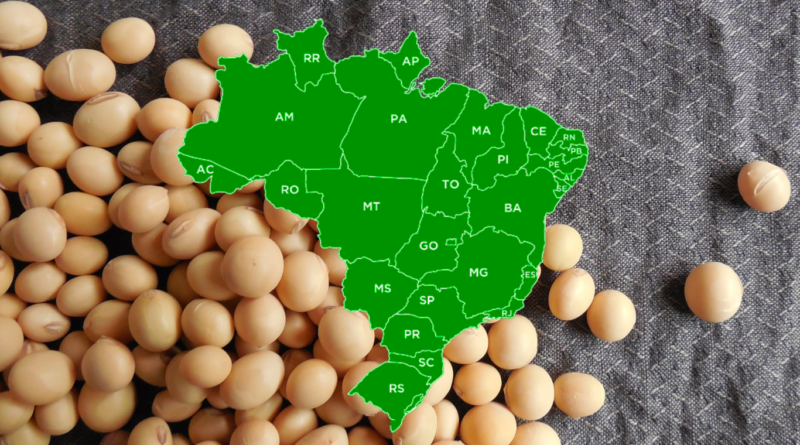 Foto: Canal Rural/Reprodução