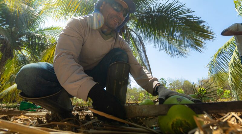 Foto: Agência Marca Comunicação