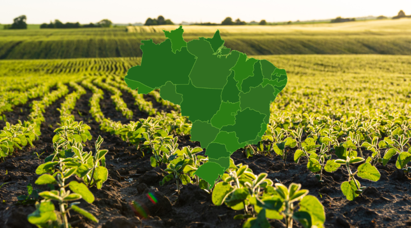 Foto: Canal Rural/Reprodução