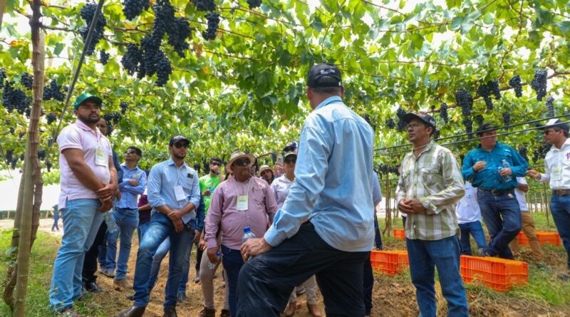Barra Agro Show 2025 já conta com 60 expositores confirmados para impulsionar fruticultura