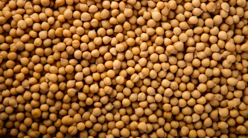 Soja: Chicago reabre em alta com sinais de demanda aquecida nos EUA