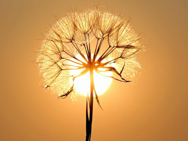 seco, tempo, brasil, previsão, falta de chuva