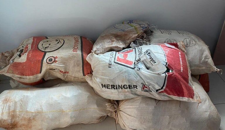 defensivo apreendido