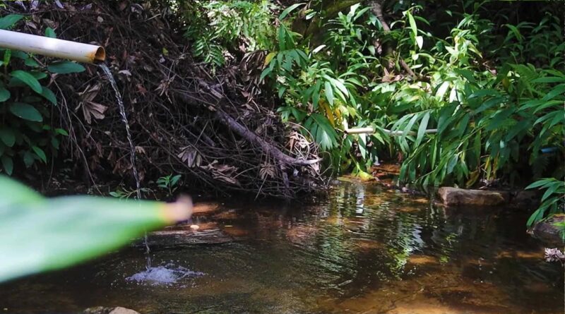 Projeto, recuparação de nascentes, Nascentes do Oeste, Bahia, Aiba, meio ambiente