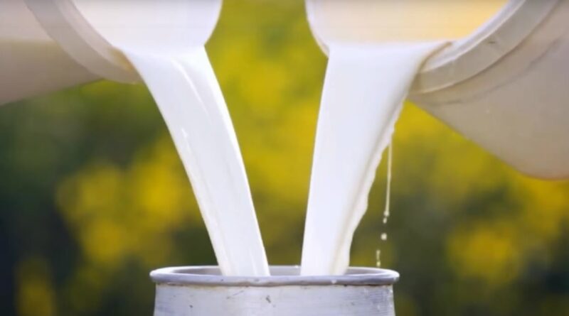 Calculadora virtual ajuda produtores de leite a estimar valores a serem recebidos