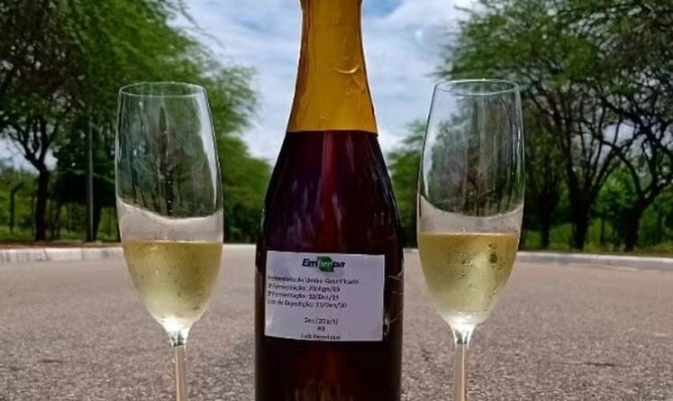 vinho espumante umbu