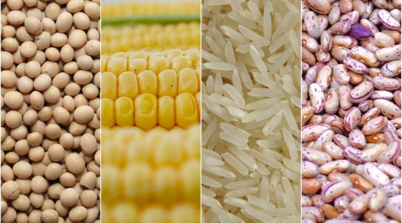 soja, milho, arroz, feijão