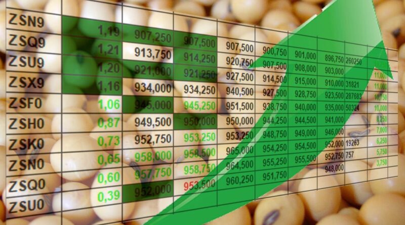 cotação preço soja