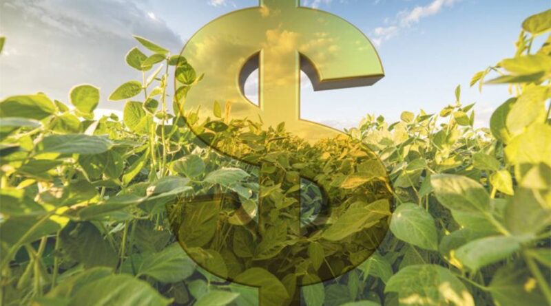 dinheiro, safra, recurso, safra - financiamento agrícola, Funrural, produtor rural