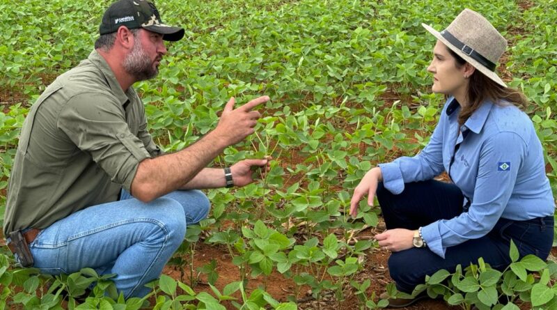 Foto: créditos à Aprosoja MT