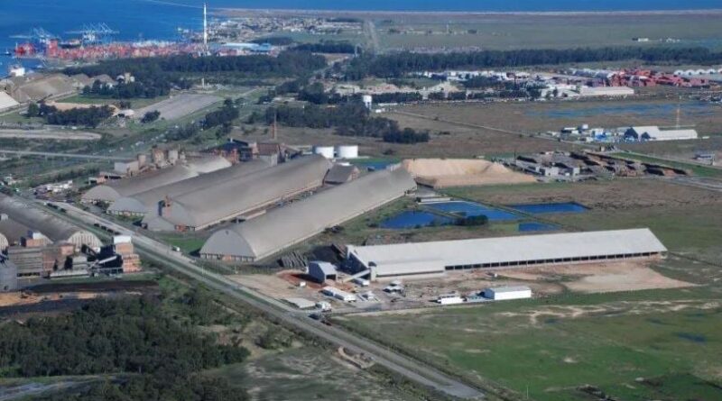 Bianchini processadora soja BNDES