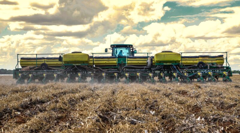 Bahia inicia plantio da safra 2024/25 de algodão, cotonicultores tem alta expectativa