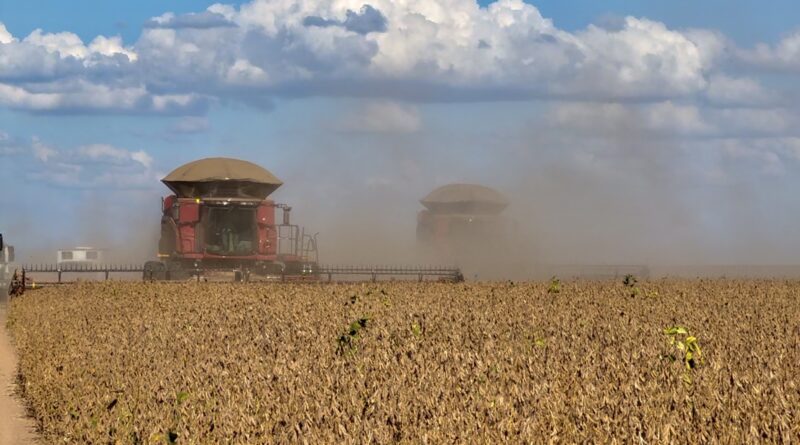 economia, pib do agro, agronegócio, bahia, soja, colheita, participação, agro