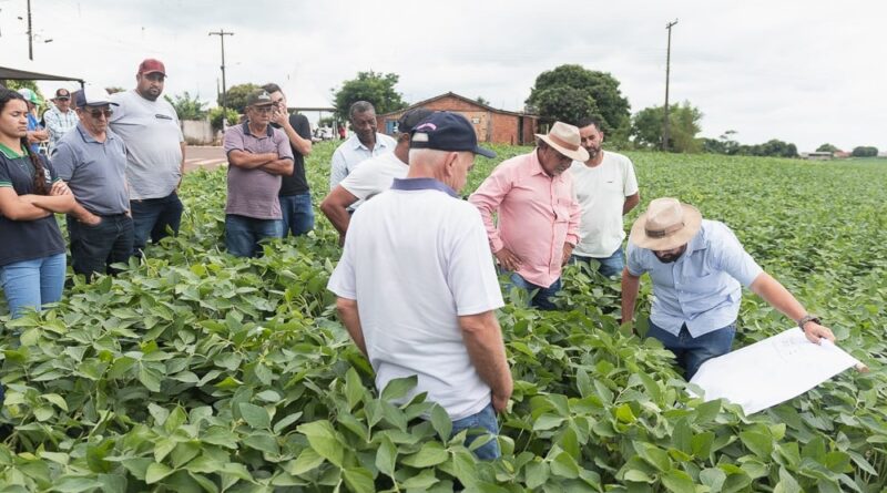 Demonstração de identificação de pragas a campo durante Giro Técnico em 2023. Arquivo IDR-Paraná
