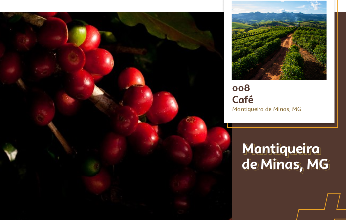 Imagem de uma florada de café