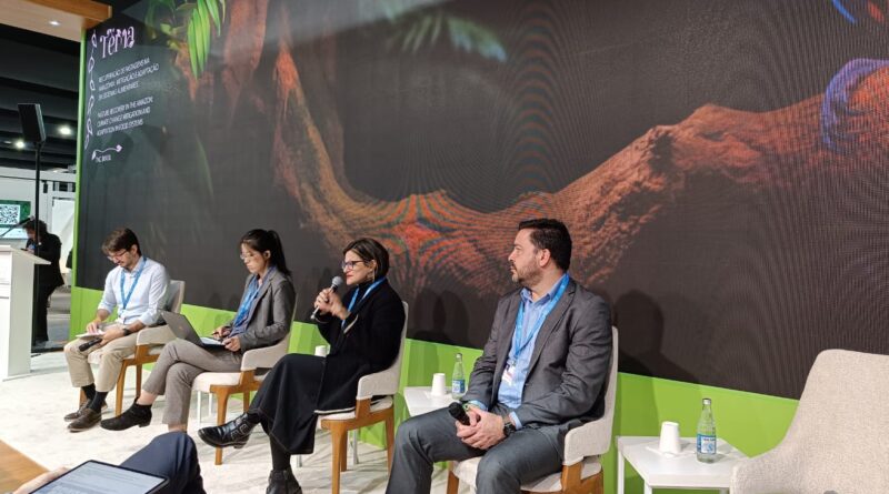 COP29: Fundo JBS pela Amazônia destaca importância do crédito a pequenos produtores para recuperação de pastagens