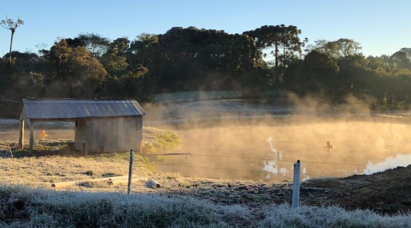 geada em Soledade (RS)