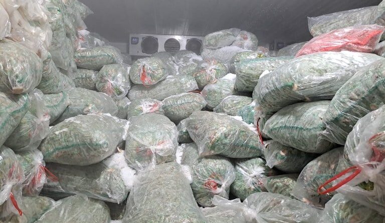 Ibama apreende 24 t de camarão-rosa sem origem legal e doa para o Fome Zero