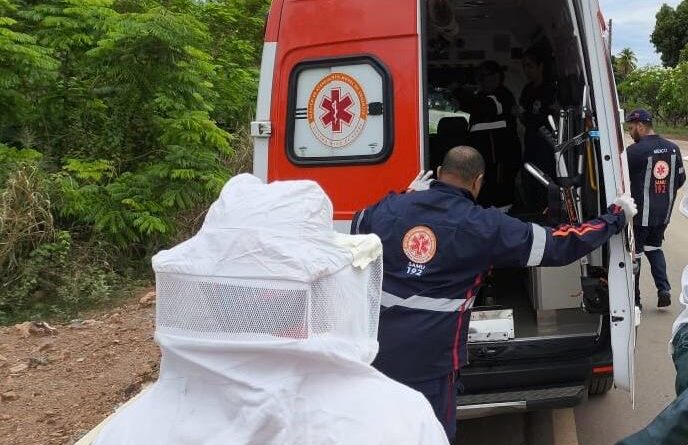 Idoso atacado por abelhas em Barreiras, no Oeste da Bahia