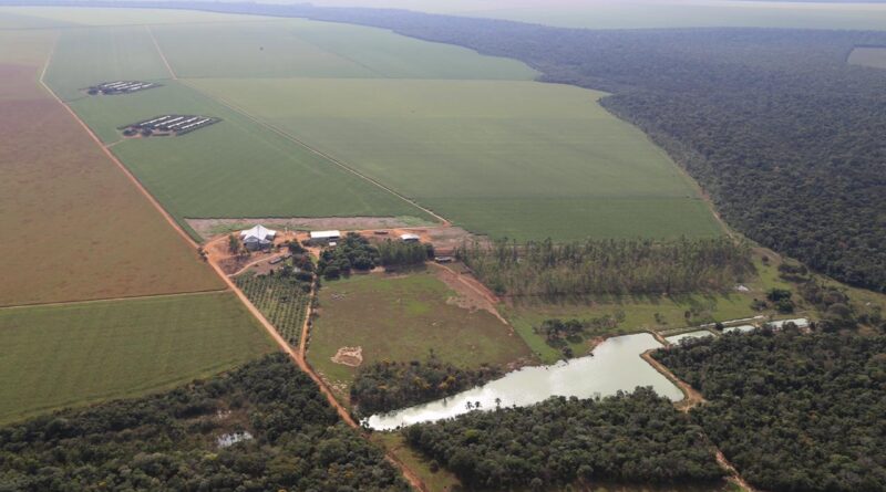 Fazenda Águas de Chapecó, em Nova Mutum (MT), imóveis rurais
