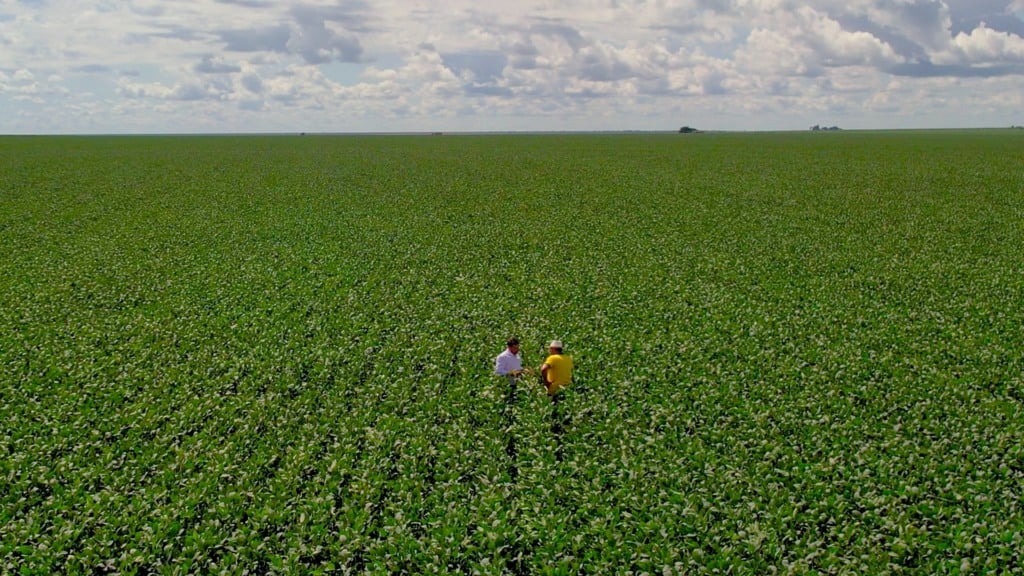 produtor na lavoura_2.3.1