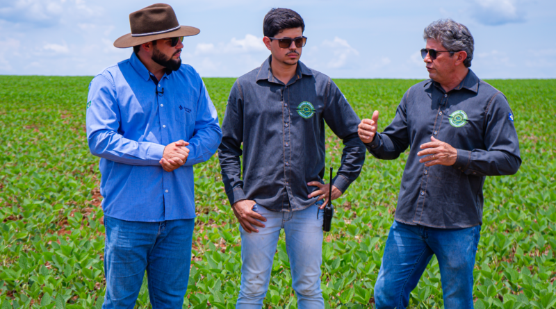 Foto: Reprodução Aprosoja MT/Serie Clima e Mercado