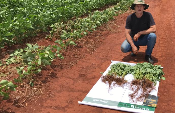 Tecnologia Embrapa para absorção de fósforo rende R$ 4 bilhões ao Brasil em cinco anos