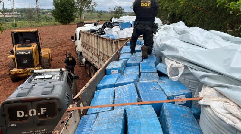 carga maconha fertilizantes