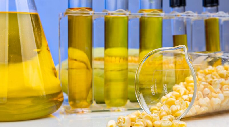 etanol de milho, biocombustível, biocombustíveis