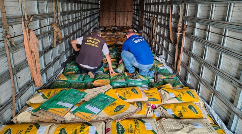 apreensão sementes milho sorgo - Sefa Pará