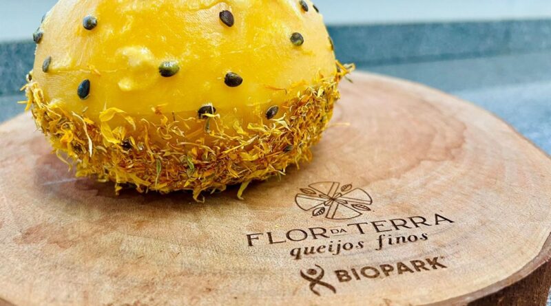 queijo fino premiado Toledo, Paraná