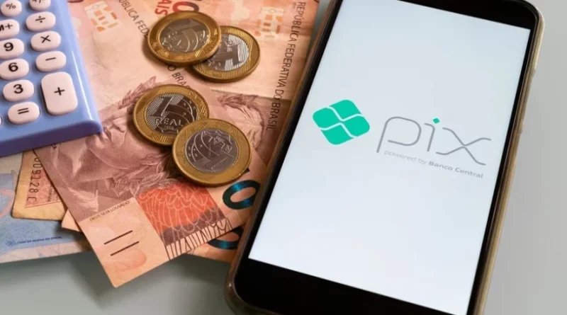 Veja como pequenos negócios do agro podem se beneficiar do pix agendado