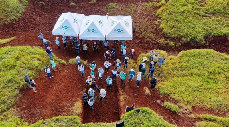 Estudo; perda de nascentes