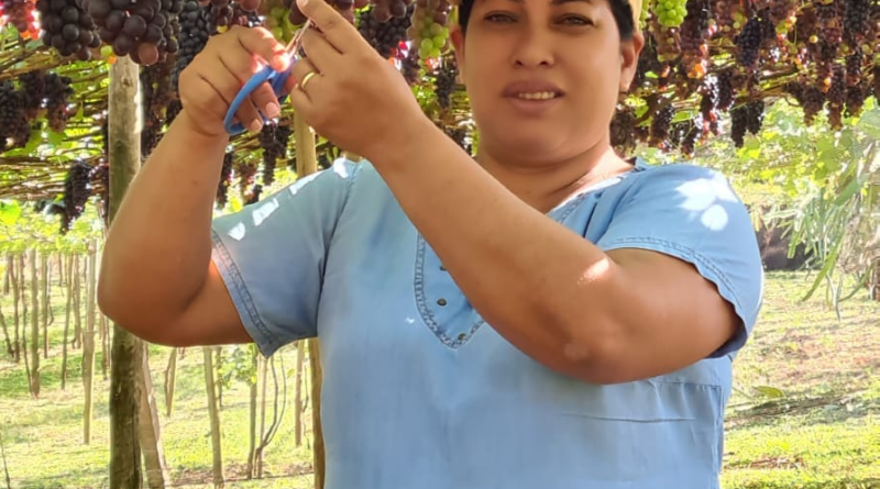 Mulher no parreiral em pé.