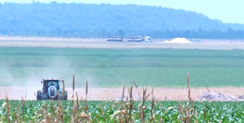 Foto: Canal Rural/Reprodução