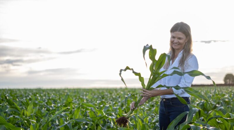 Foto: Vanessa Bomm/Arquivo Pessoal