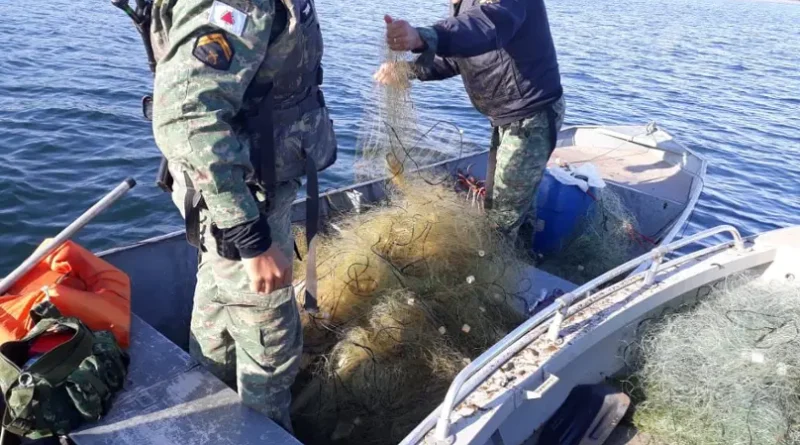 Período da piracema