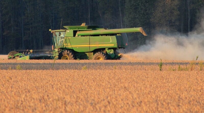 Foto: Imagem de CJ por Pixabay