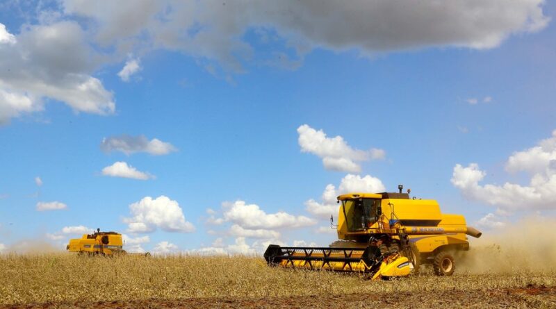 safra, soja, Paraná