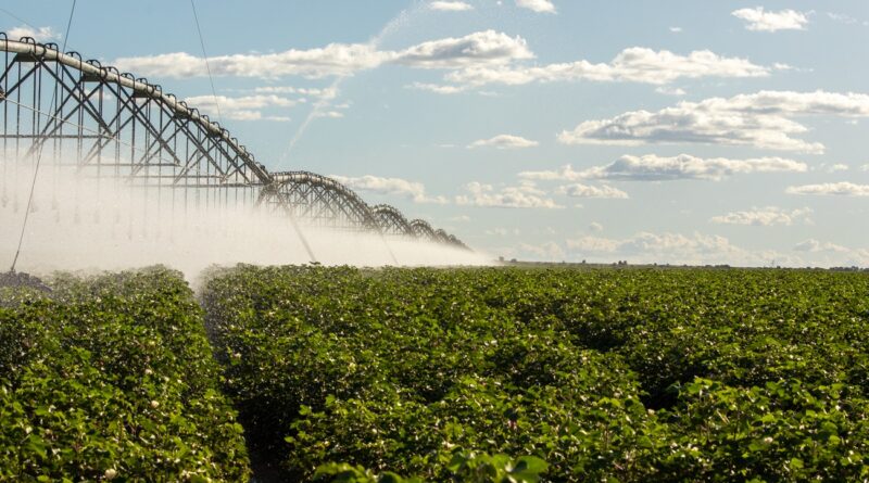 Extremo Oeste da Bahia tem o maior polo de irrigação por pivô do Brasil; pivô central