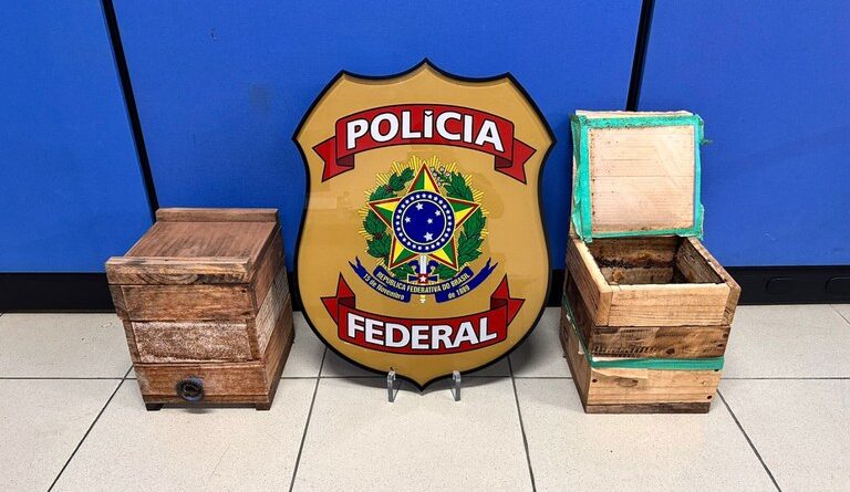 colmeia apreensão PF